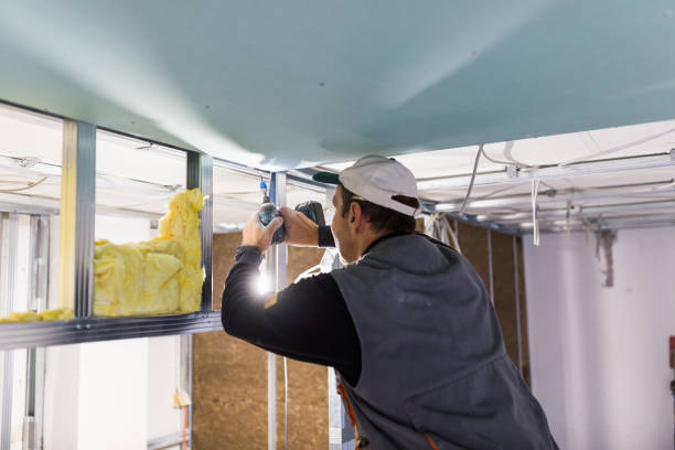 Best Insulation Repair Services  in Shell Kno, MO