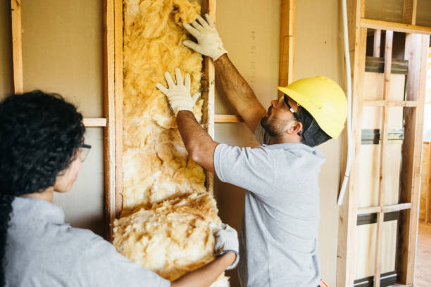 Best Insulation Contractors for Homes  in Shell Kno, MO